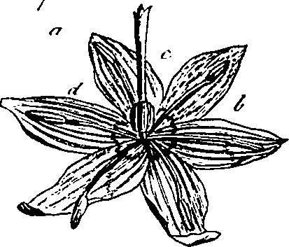 064/064340010102190_5.png
