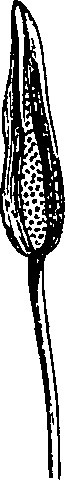 064/064340010102190_6.png