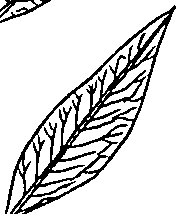 064/064340010200140_2.png