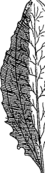 064/064340010200160_2.png