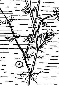 064/064340010200180_0.png