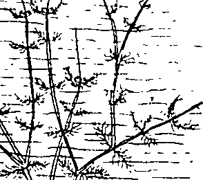 064/064340010200180_2.png