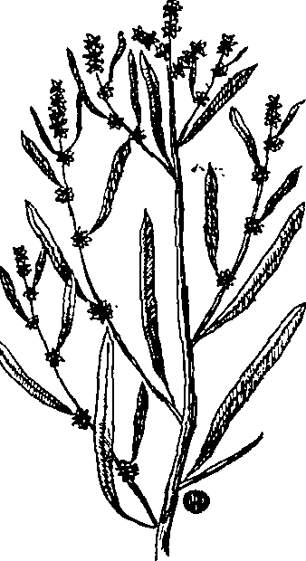 064/064340010200190_1.png