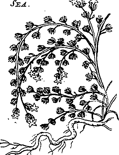 064/064340010200220_0.png