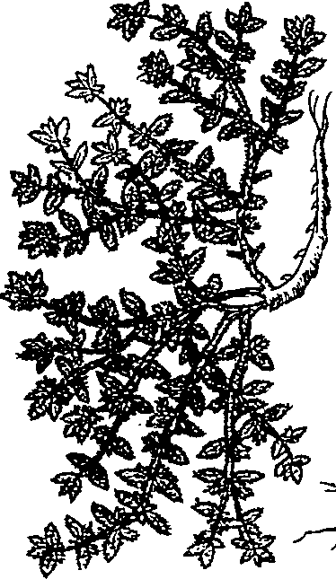 064/064340010200220_1.png