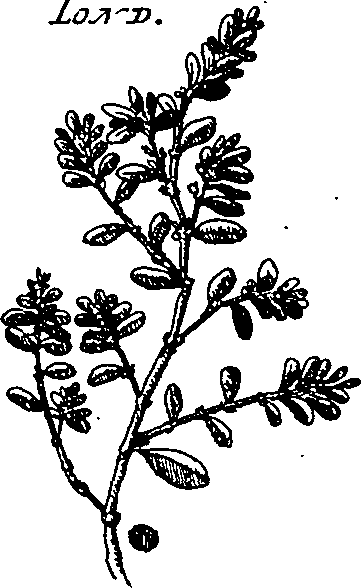 064/064340010200220_3.png