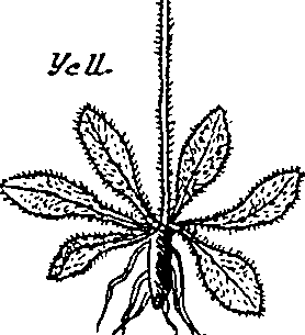 064/064340010200230_3.png