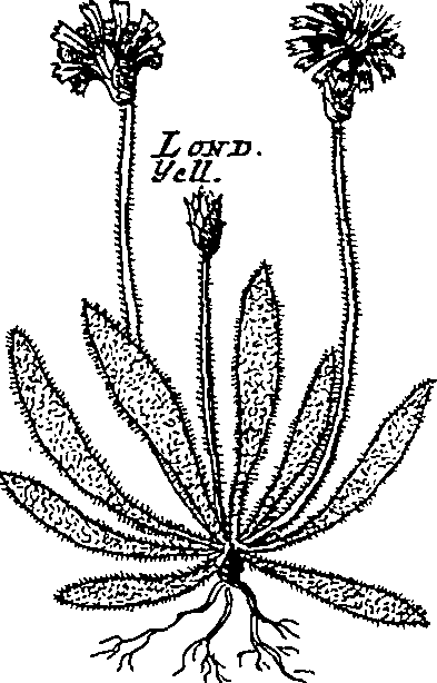 064/064340010200230_4.png