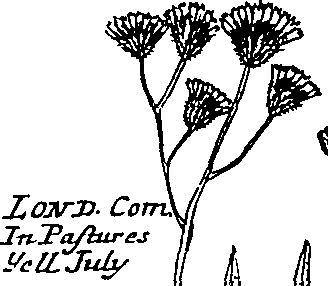 064/064340010200240_2.png