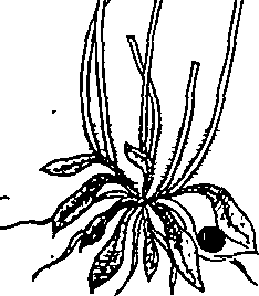 064/064340010200600_1.png