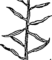 064/064340010200600_2.png