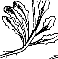 064/064340010200620_1.png