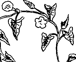 064/064340010200660_2.png