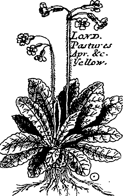 064/064340010200680_0.png