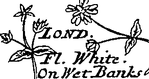 064/064340010200700_0.png