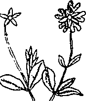 064/064340010200700_1.png