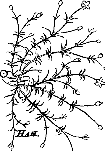 064/064340010200710_0.png