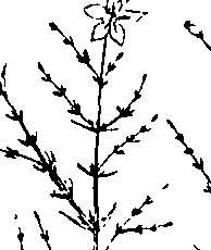 064/064340010200710_1.png