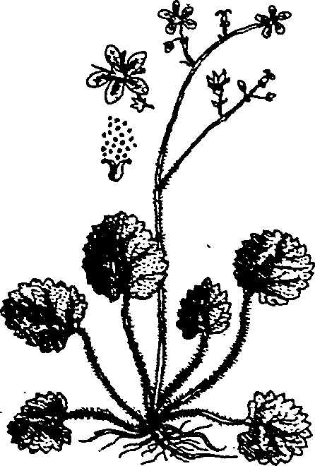 064/064340010200730_2.png