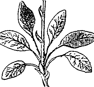064/064340010200740_0.png