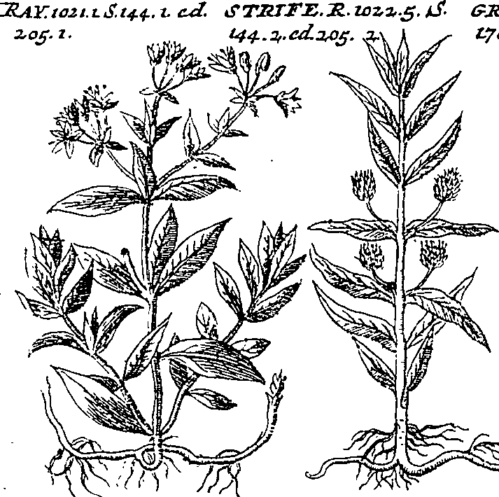064/064340010200740_1.png