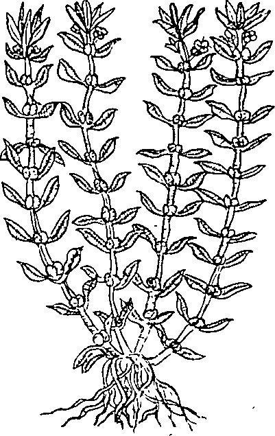 064/064340010200770_0.png