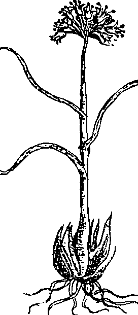 064/064340010200780_1.png