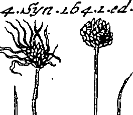 064/064340010200780_2.png
