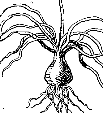 064/064340010200790_0.png