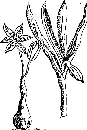 064/064340010200790_2.png