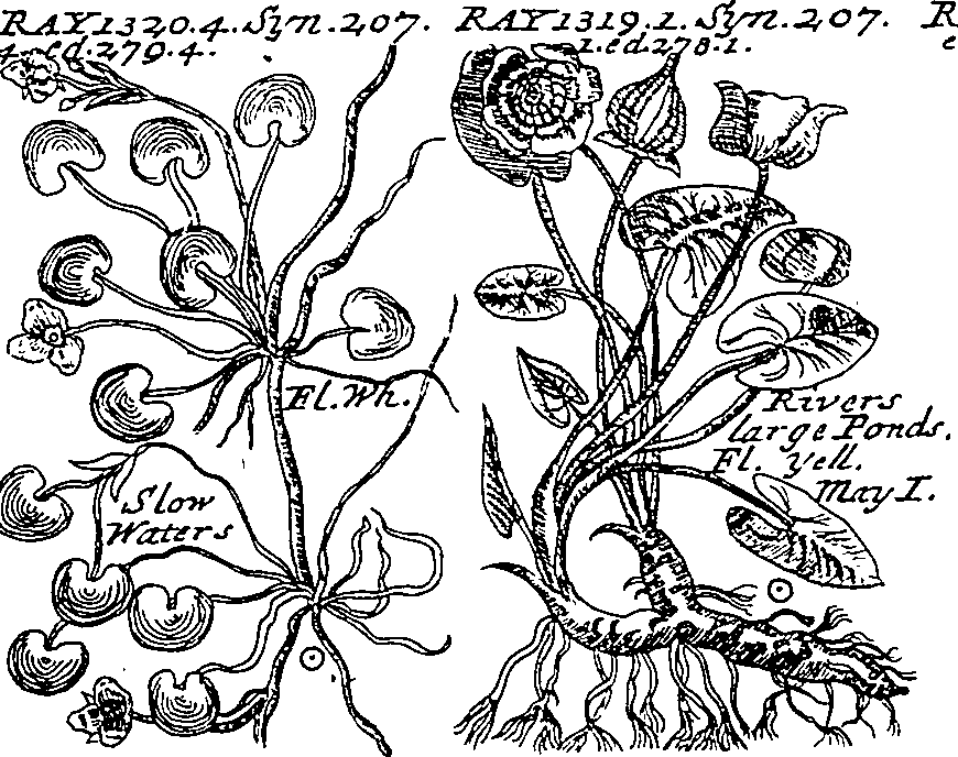 064/064340010200830_2.png