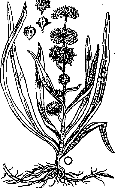 064/064340010200840_0.png