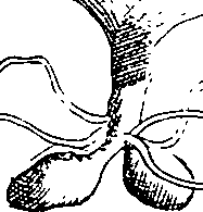 064/064340010200890_0.png