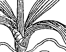 064/064340010200890_1.png