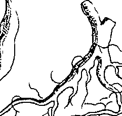 064/064340010200910_2.png