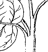 064/064340010200910_3.png
