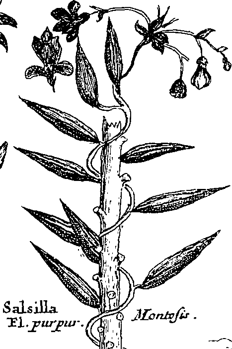 064/064340010200920_1.png