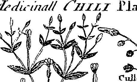 064/064340010200920_3.png