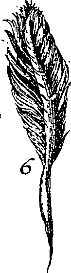 064/064340010200990_1.png