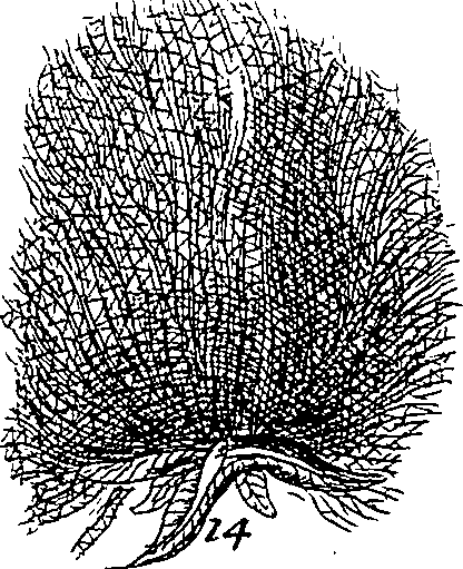 064/064340010201000_0.png