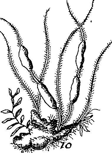 064/064340010201000_1.png