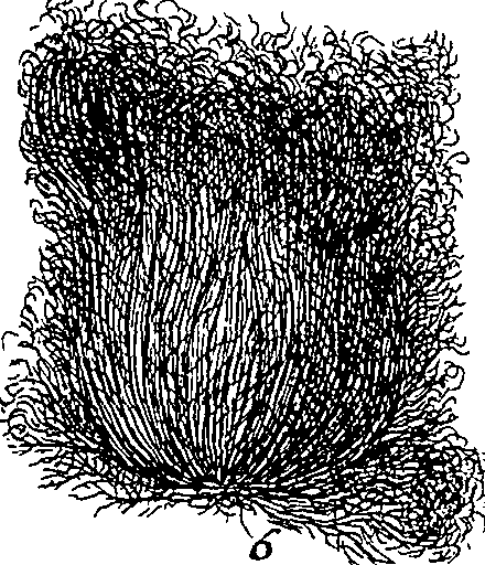 064/064340010201000_3.png