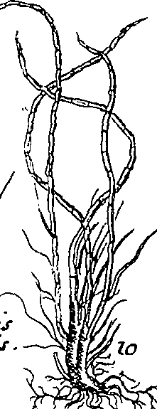 064/064340010201010_0.png