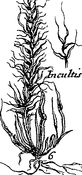 064/064340010201010_1.png