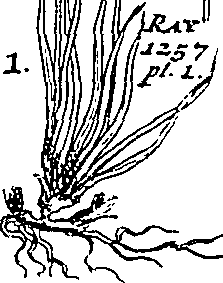 064/064340010201010_2.png