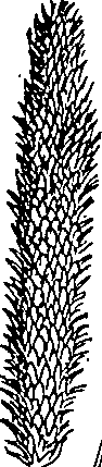 064/064340010201020_2.png