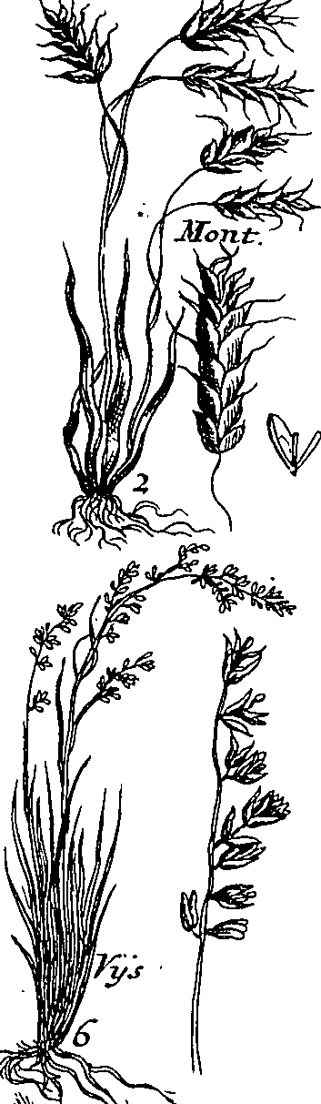 064/064340010201030_1.png