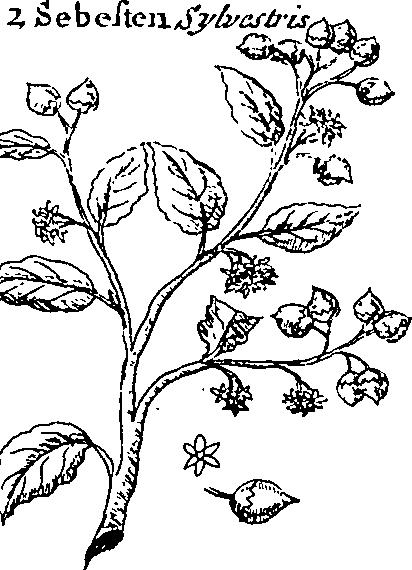 064/064340010201050_2.png