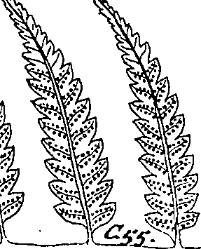 064/064340010201110_1.png