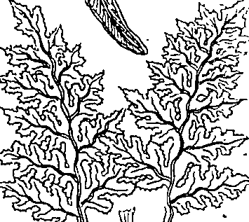 064/064340010201120_0.png